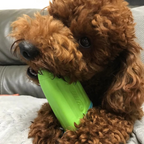 Ice Pop - Avocado Green