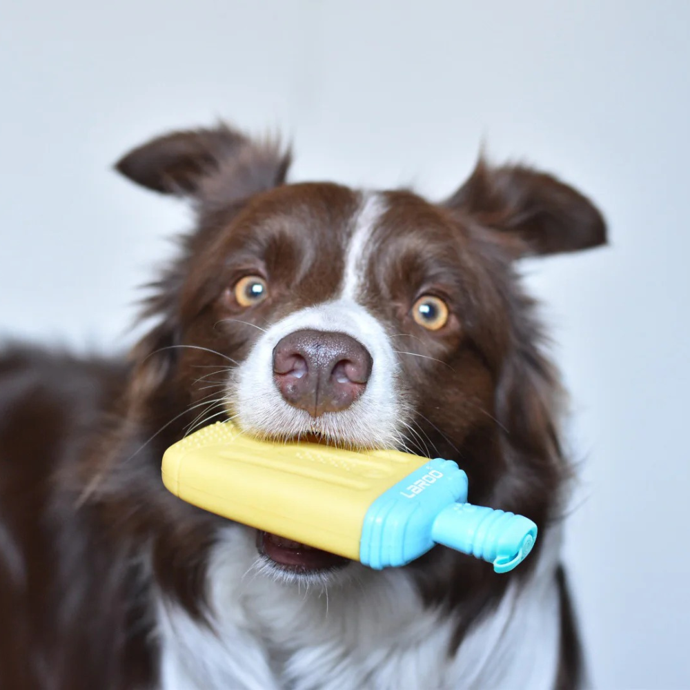 Ice Pop - Banana Yellow
