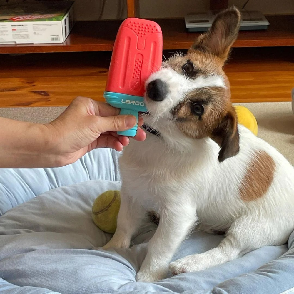 Ice Pop - Watermelon Red