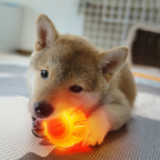 LED Ball - Orange
