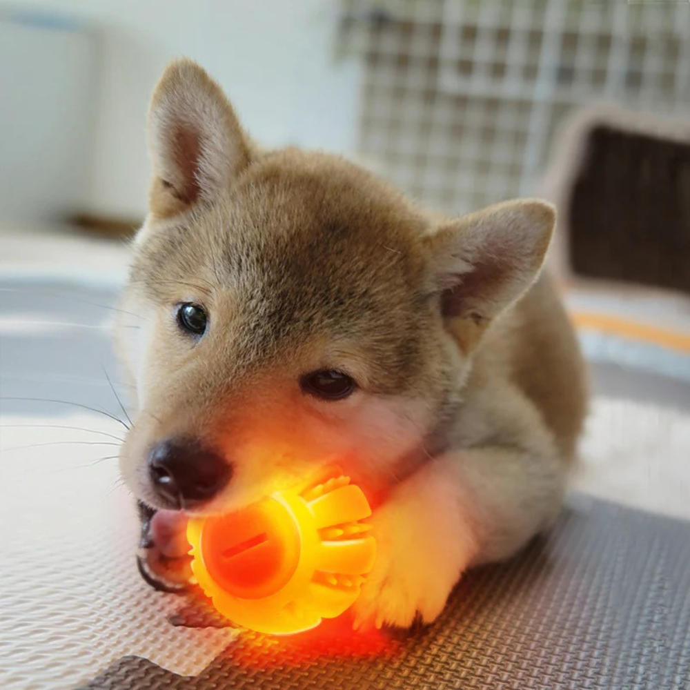 LED Ball - Orange