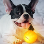 LED Ball - Orange