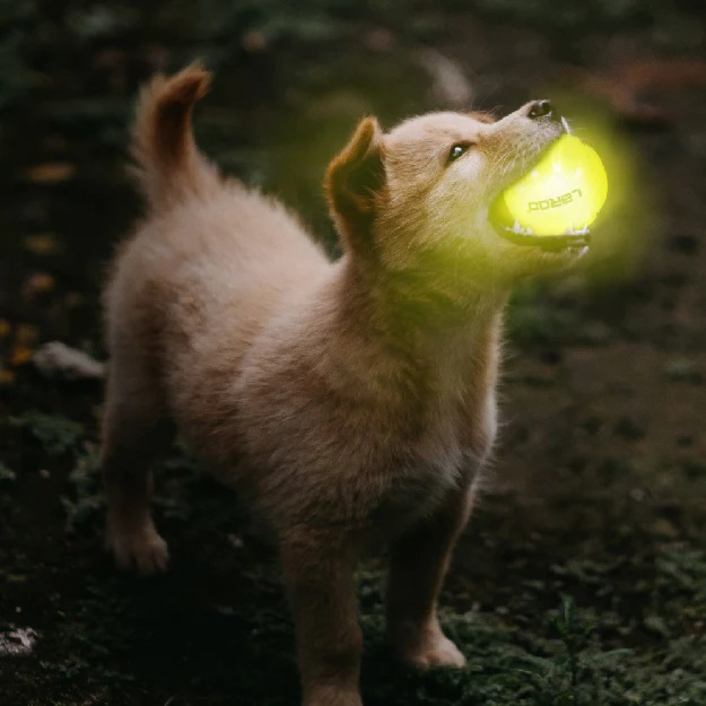 LED Ball - Yellow