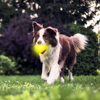 LED Ball - Yellow