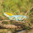 LED Collar Barkcation Ring - Yellow