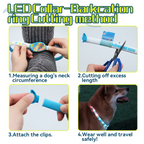 LED Collar Barkcation Ring - Blue