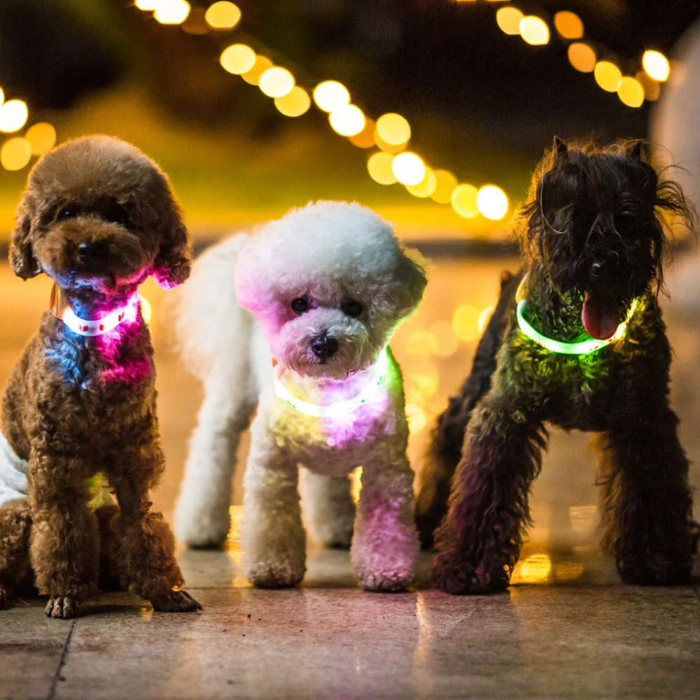 LED collar - Forest Ring - Green