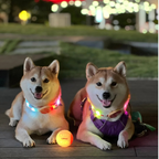 LED collar - Forest Ring - Orange