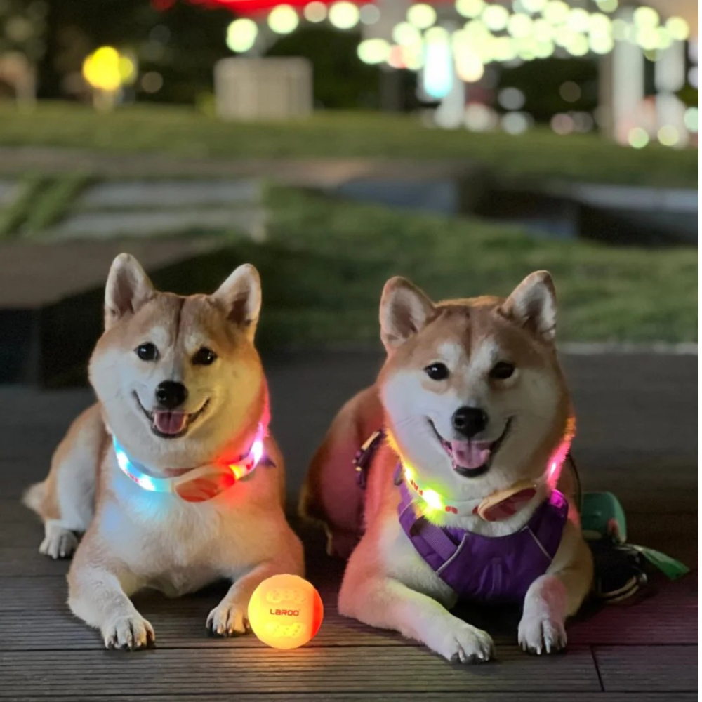 LED collar - Forest Ring - Pink