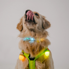 Nut Blinker - Green