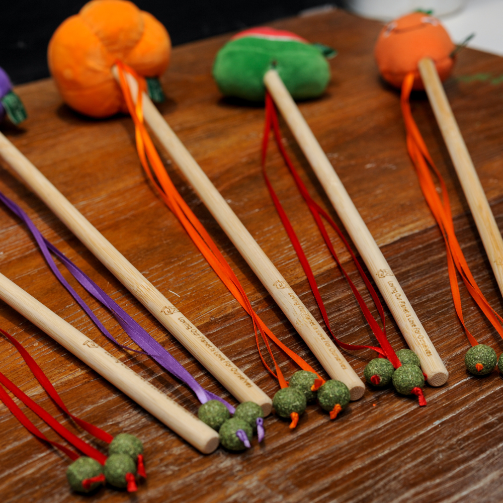 Carrot Wand