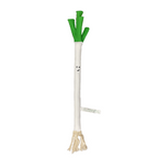 Onion