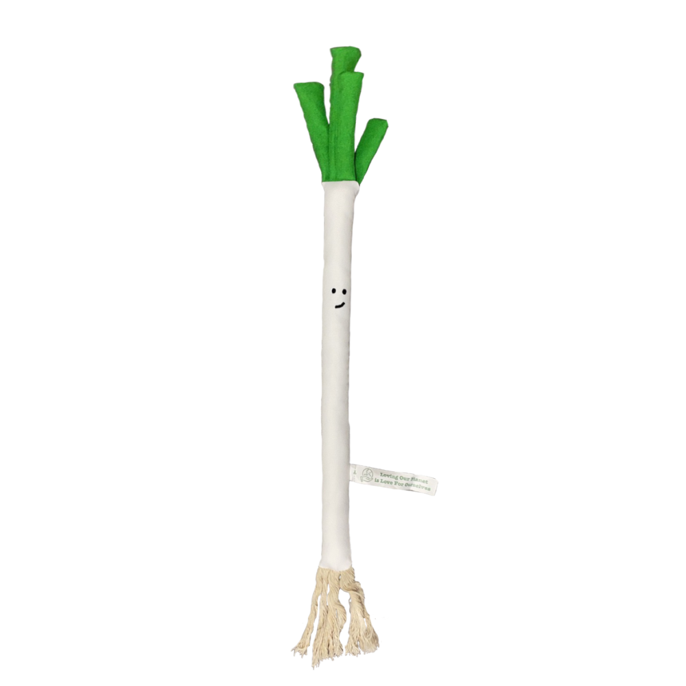 Onion