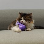 Onion Cat