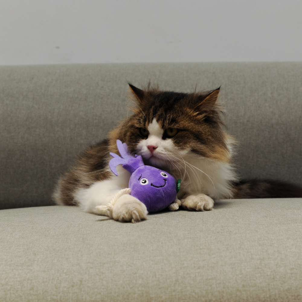 Onion Cat