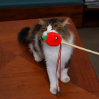 Pepper Wand