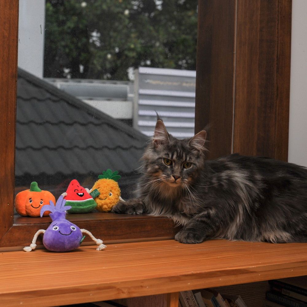 Carrot Cat