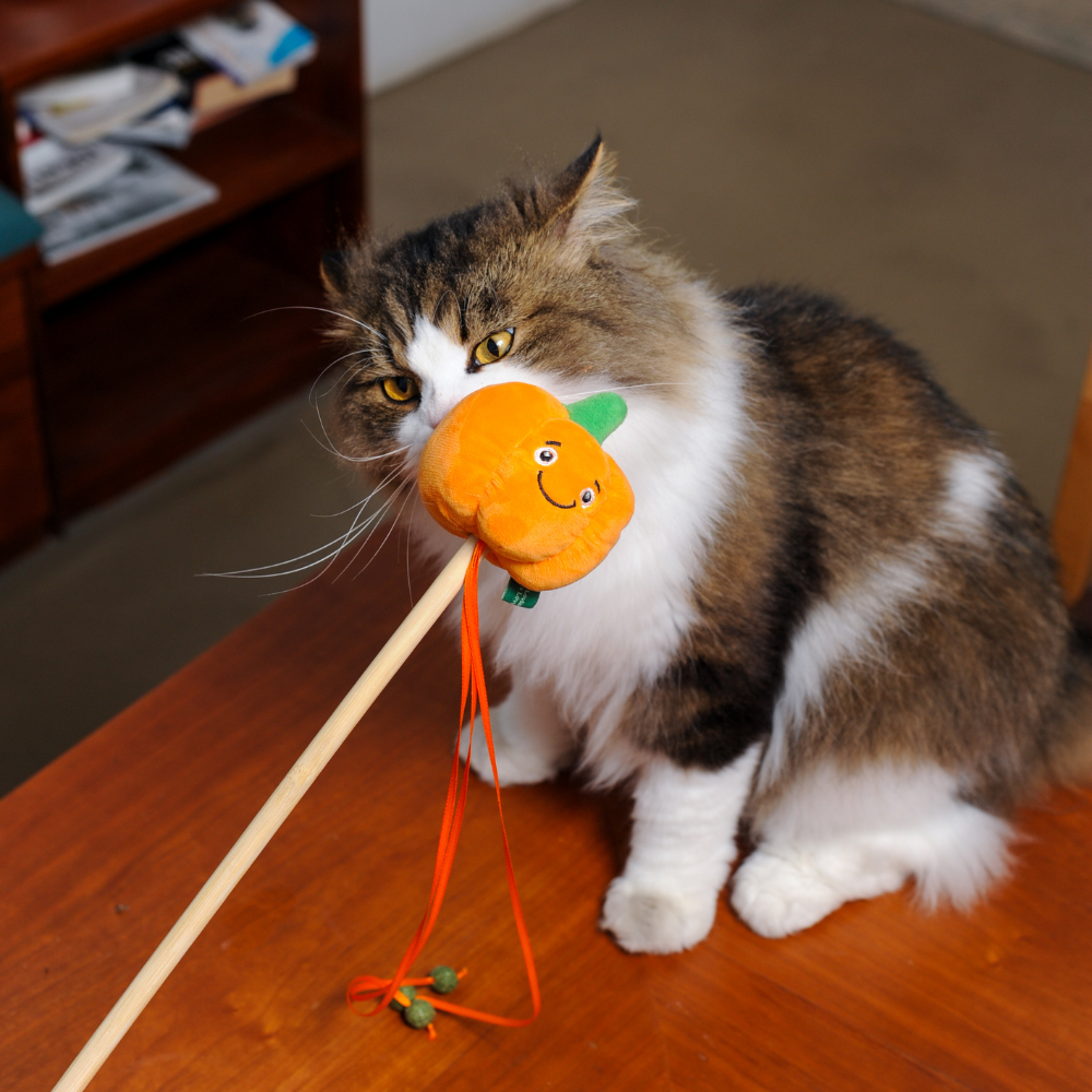 Pumpkin Wand