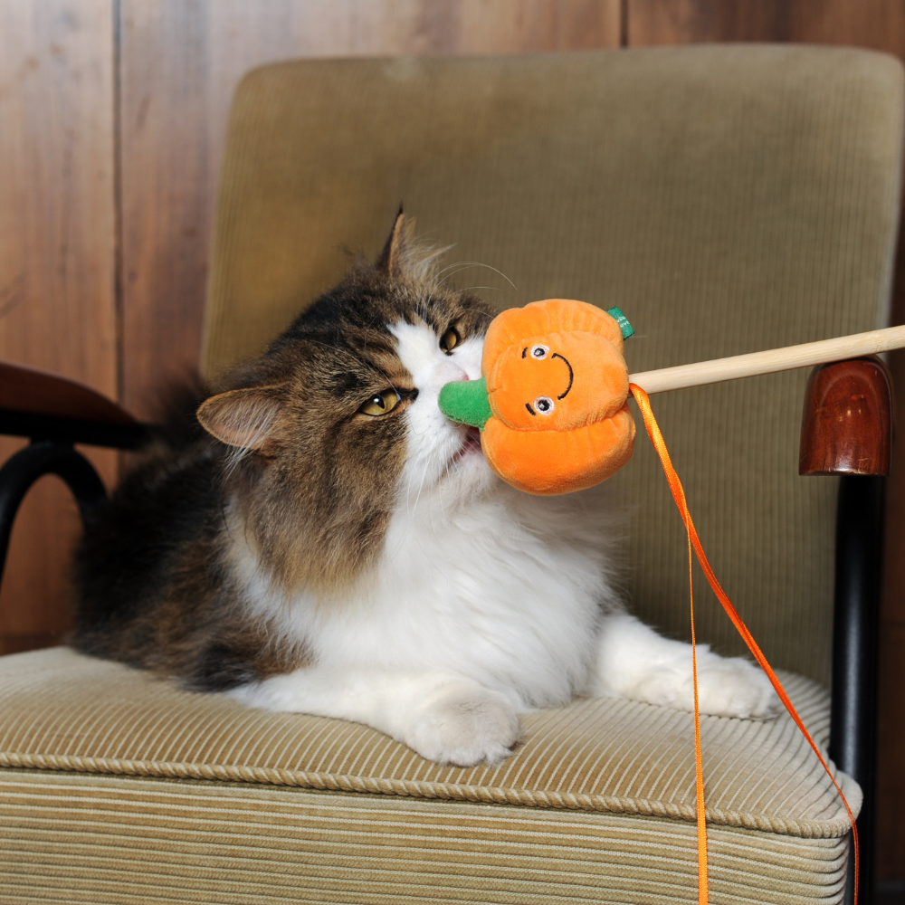 Pumpkin Wand