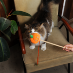 Pumpkin Wand
