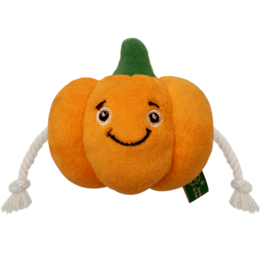 Pumpkin Cat