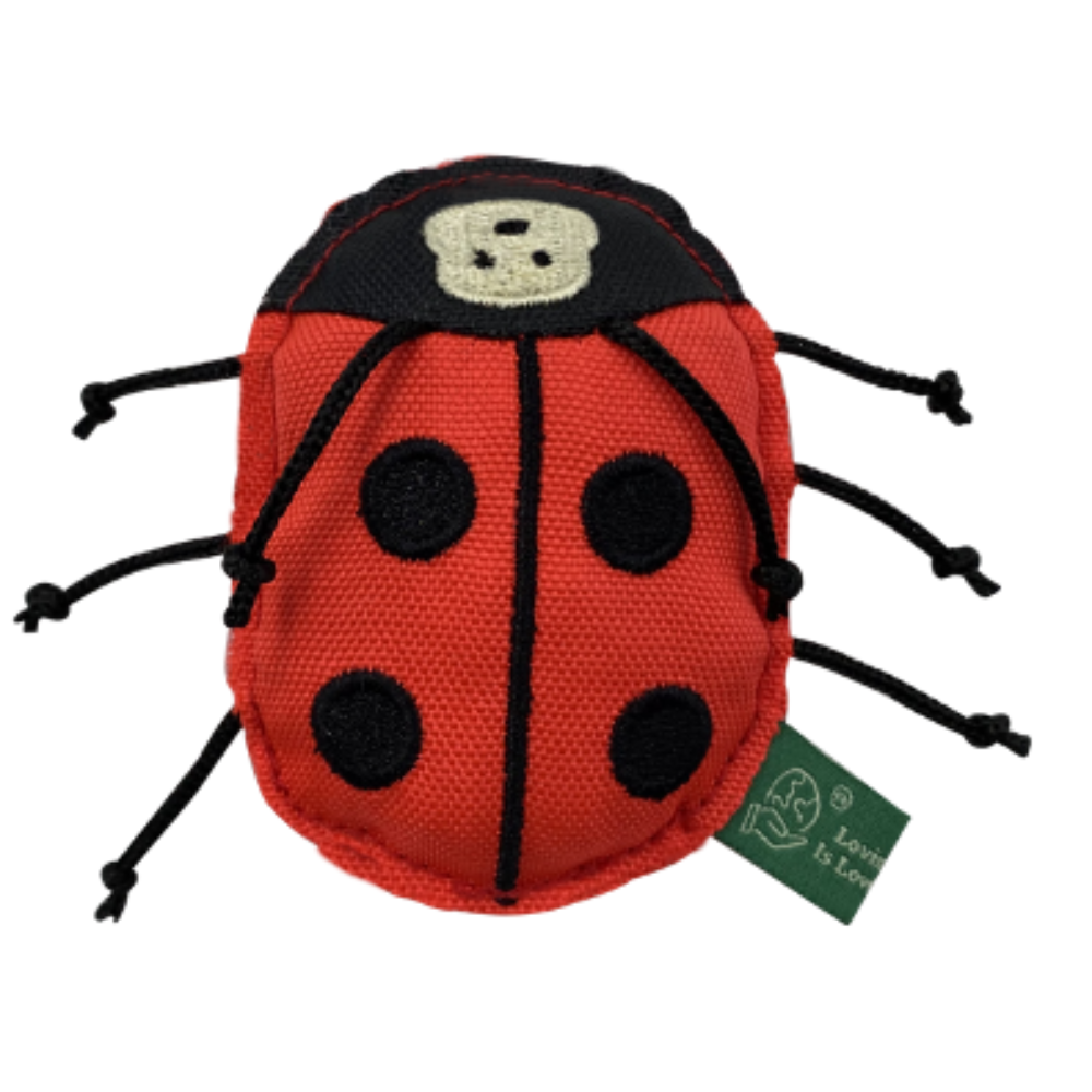 RPET Ladybird