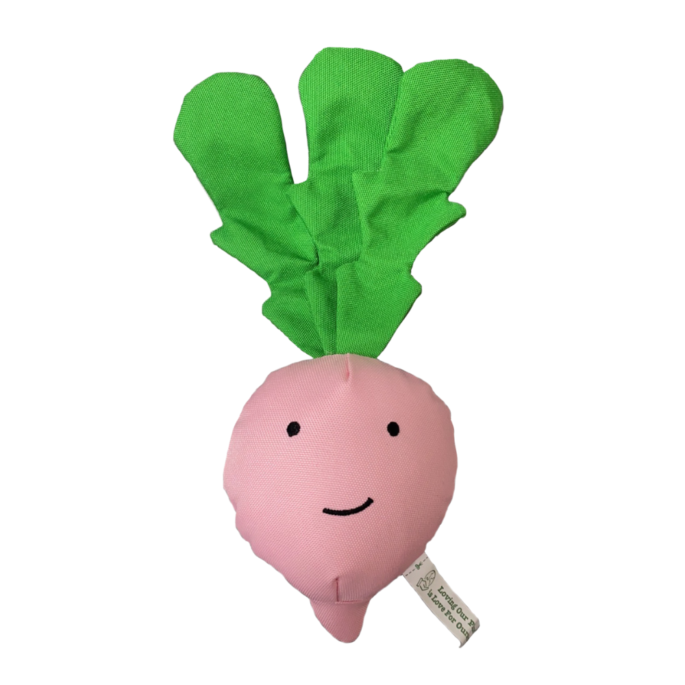 Radish