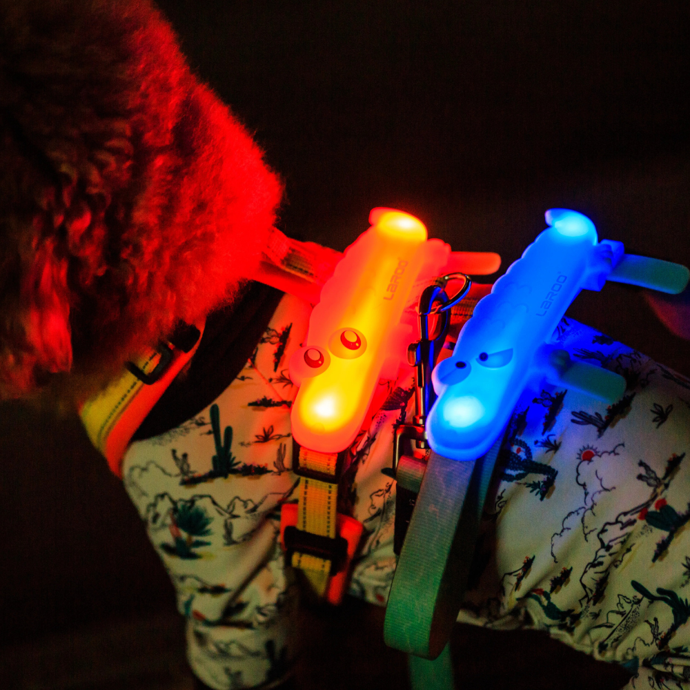 Schnappi LED Light Band - Blue