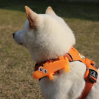 Schnappi LED Light Band - Orange