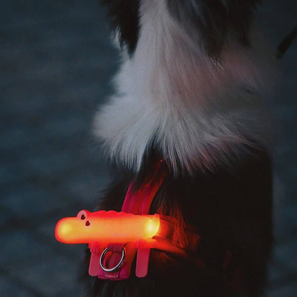 Schnappi LED Light Band - Orange