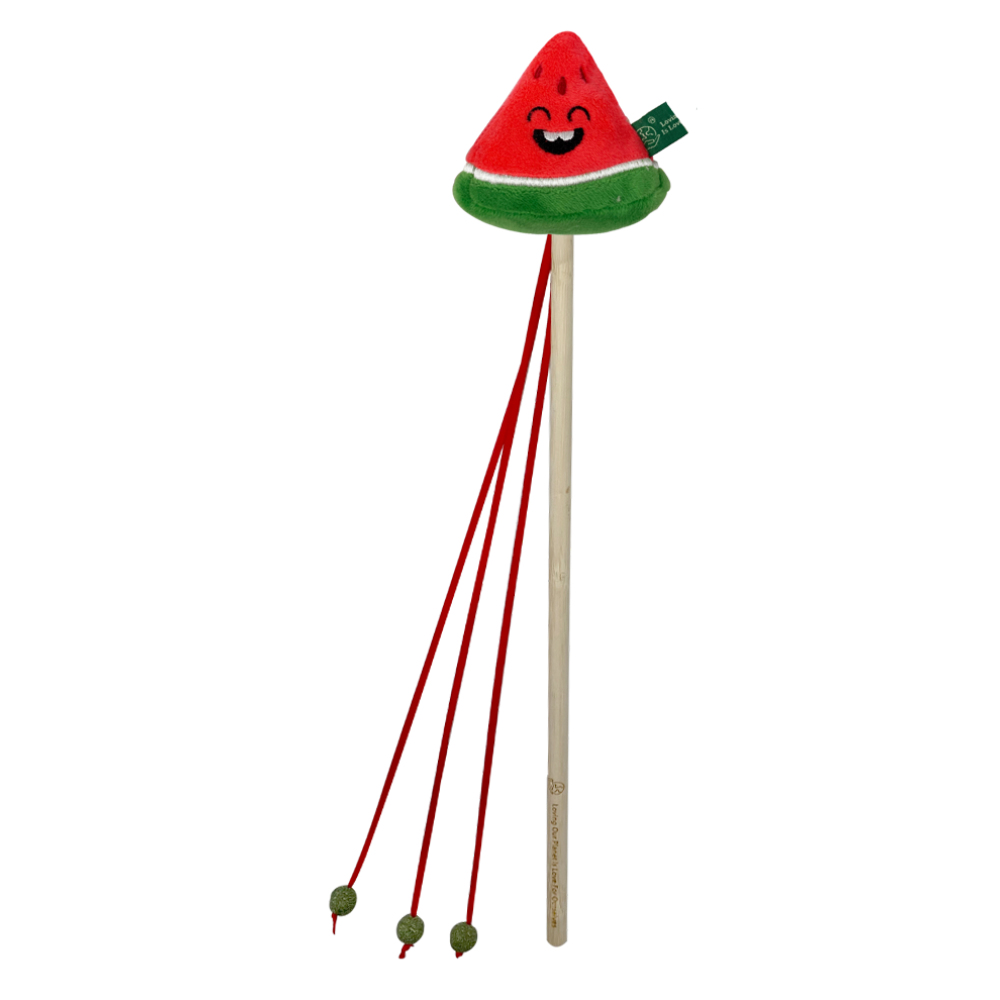 Watermelon Wand