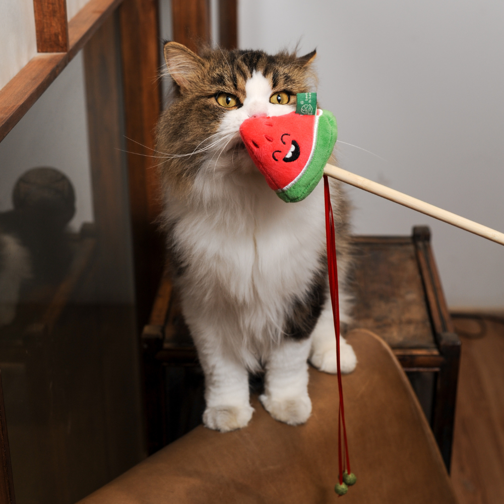 Watermelon Wand