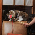 Watermelon Wand