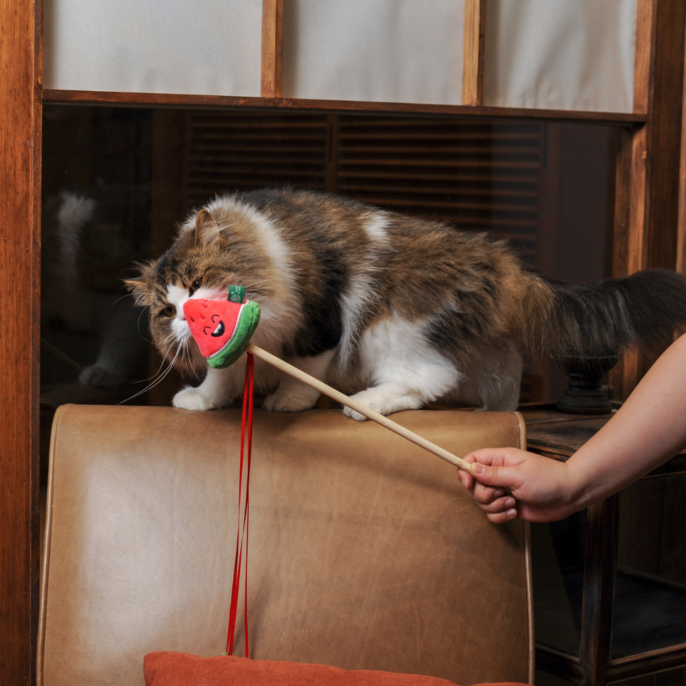 Watermelon Wand