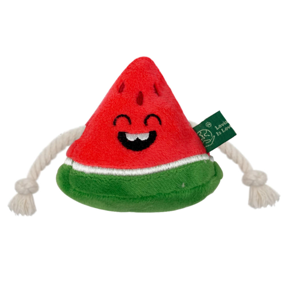Watermelon Cat