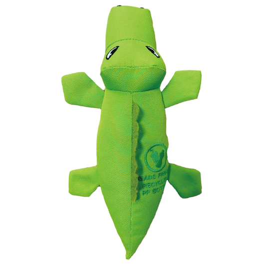 Alligator