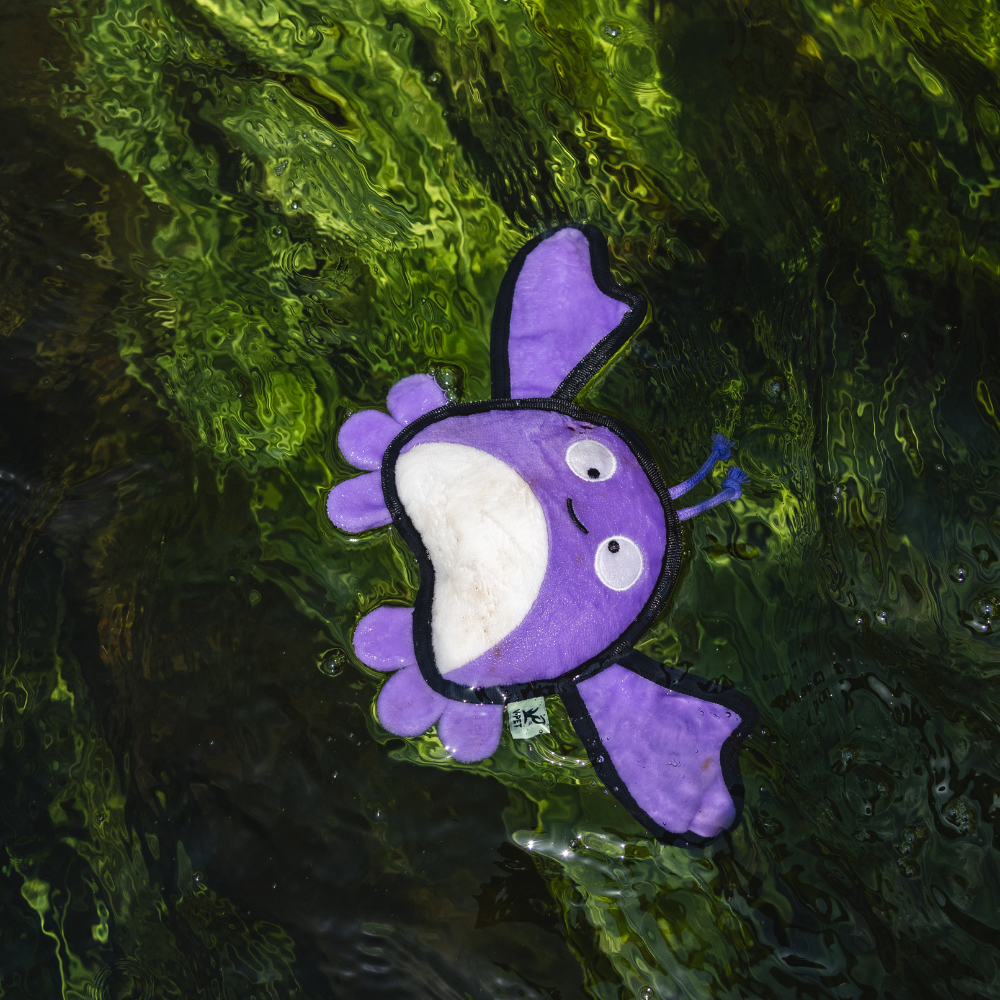 Crab - M