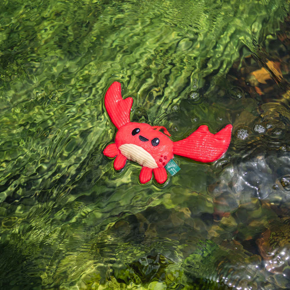 Crab - XS
