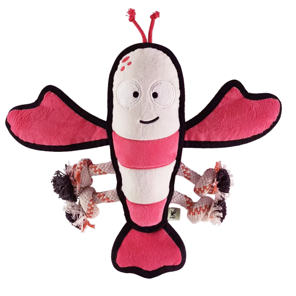 Lobster - M