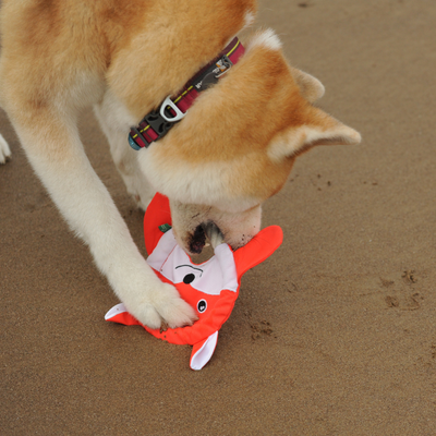 Frisbee Fox