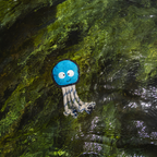 Octopus - M