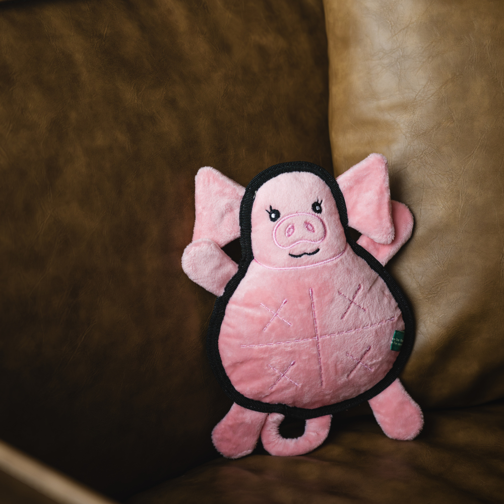 Pig - M
