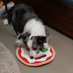 Pizza - L