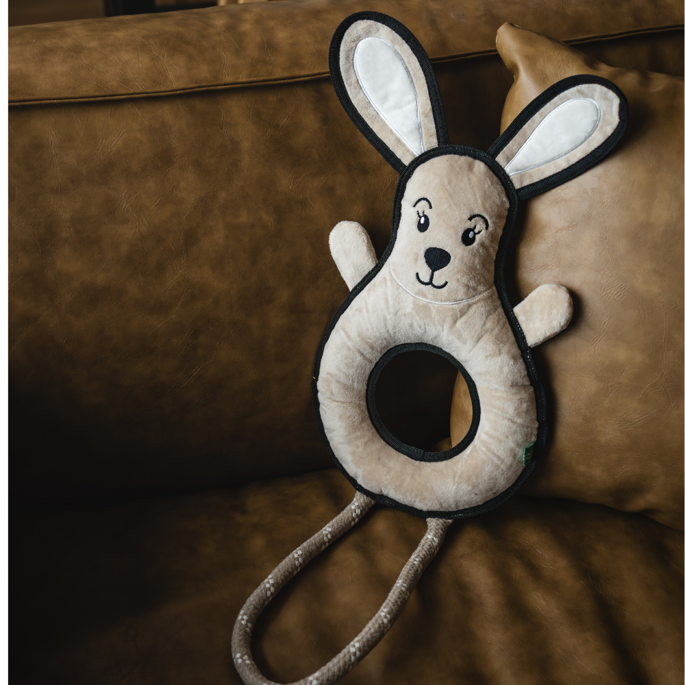 Rabbit - XL