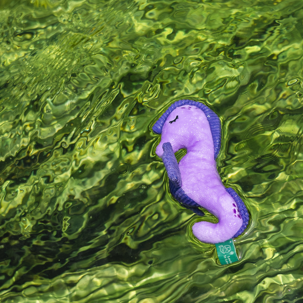 Seahorse - XS