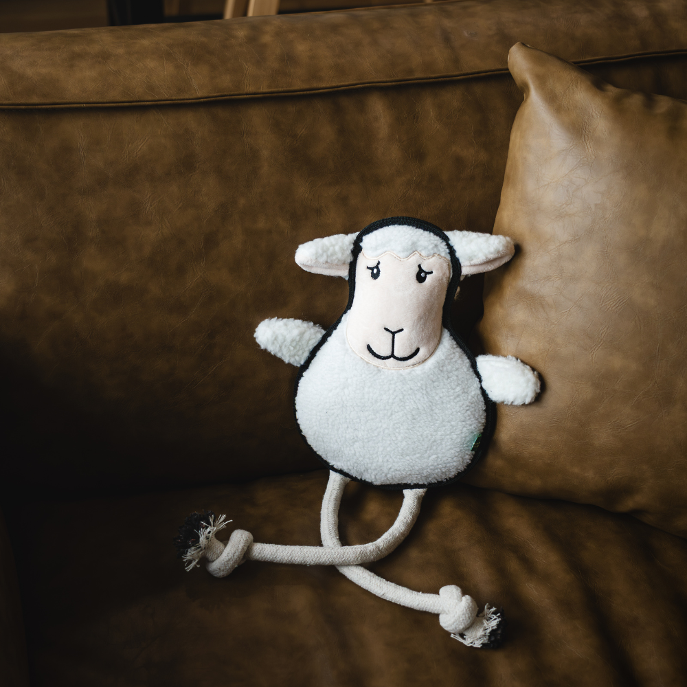 Sheep - L