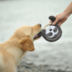 Frisbee Tiger