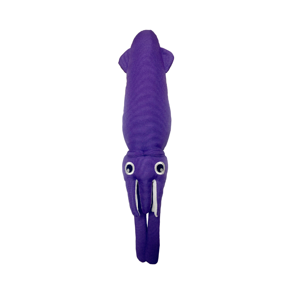 Squid - M