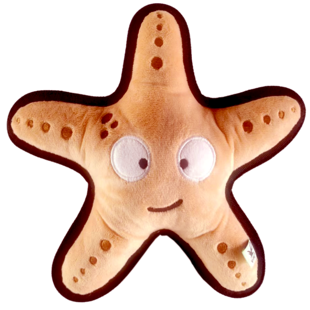 Starfish - M