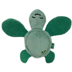 Turtle - XS